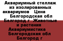 Аквариумный стеллаж из изолированных аквариумов › Цена ­ 22 000 - Белгородская обл., Белгород г. Животные и растения » Аквариумистика   . Белгородская обл.,Белгород г.